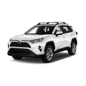 2019 Toyota RAV4 Photo