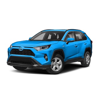 2020 Toyota RAV4 Photo